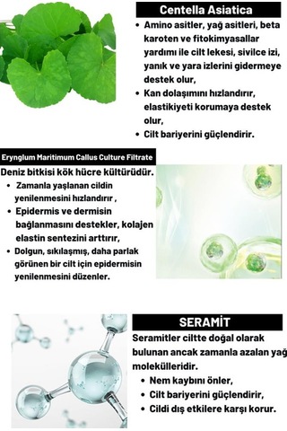 Dermal Cica x Mide Toner Centella Asiatica ve Seramid Özlü Sakinleştirici Tonik 200 ML