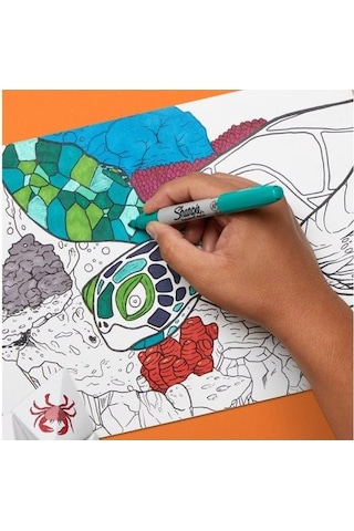 Sharpie Permanent Marker Set Limited Edition 18li