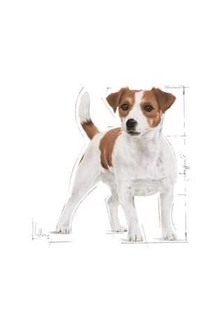 Mini Adult Köpek Yaş Mama, 85 Gr
