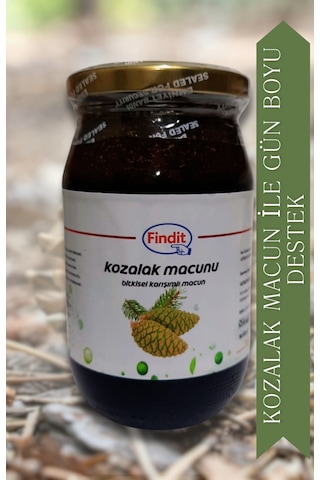 Kozalak Bitkisel Karışımlı Macun Doğal Güç Ve Direnç Desteği