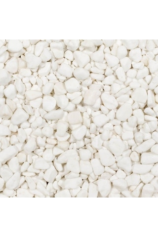 Mezar - Kabir Bitki Seti - 10 Adet Yeşil Taflan Greenspire 25-30