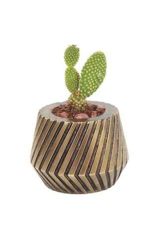 Saksı Çiçek Kaktüs Saksısı Lüx 13 Cm Mekanik Dişli Desen Saksı Çiçeklik - Altın Eskitme