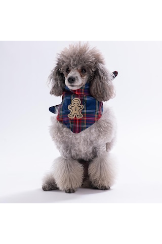Cookie Jingle Kurabiye Adam Nakışlı Ekose Desen Yeşil Kedi Köpek Fuları Pet Bandana Köpek Bandanası