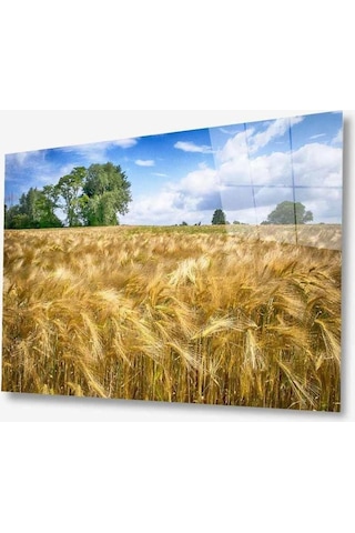 Doğa Cam Tablo 4mm Dayanıklı Temperli Cam679