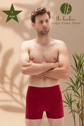 Weweus Bordo 3'lü Erkek Süper İnce Doğal Bambu Lüks Boxer 1012 Bordo