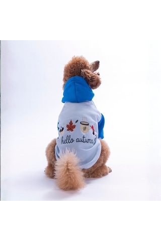 Mavi Vermont Autumn Köpek Hoodie Köpek Sweat Köpek Kıyafeti Kedi Kıyafeti Mavi Vermont Autumn Köpek Hoodie Köpek Sweat Köpek Kıyafeti Kedi Kıyafeti