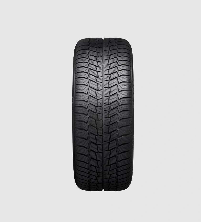 Viking 225/55 R16 99H Wintech Kış Lastiği 2024