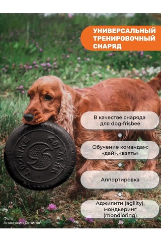 Doglıke Köpekler İçin Oyuncak - Uçan Frizbi Tabaği 18cm 2 Adet 134664117