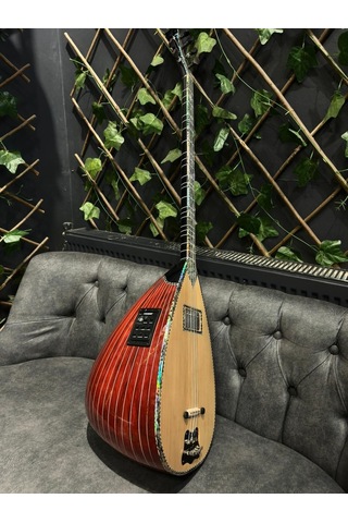 Ankara Elektro Bağlama Çift Kapak Ekolayzırlı Soft Case Dahil