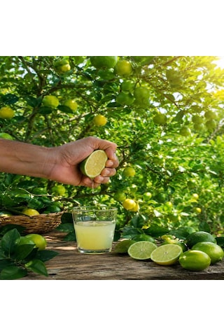 Lime Limon 2 Kg
