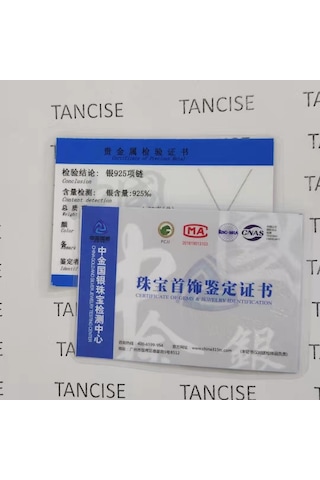 Tancise S925 Gümüş Lüks Kişilik Kolye Kolye Kadın Klasik Gelgit Kolye