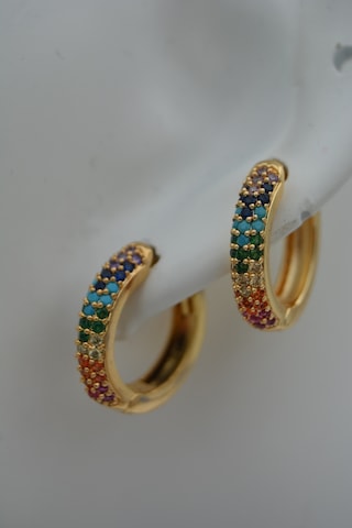 Stoneagejewellery Stoneage Zirkon Taşli Kilitli Küpe N11.88570 Çok Renkli