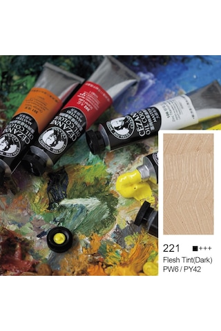 Bigpoint Cezanne Extra Fine Yağlı Boya 45 Ml Flesh Tint Dark 221 X 6 Adet Diğer