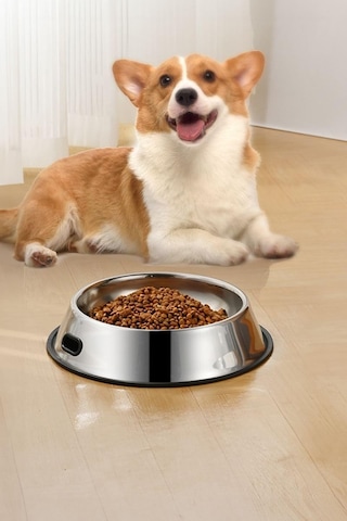 Paslanmaz Çelik 1000 Ml Gri Kaymaz Taban Kedi Köpek Mama Ve Su Kabı Cin569-26