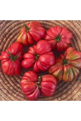 Pink Accordion Etli Pembe Domates Tohumu 15 Tohum