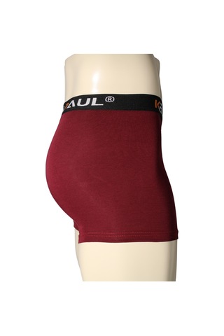 Kenn Paul Erkek Bordo Modal Boxer Rahat Kumaş Premium Boxer Bordo