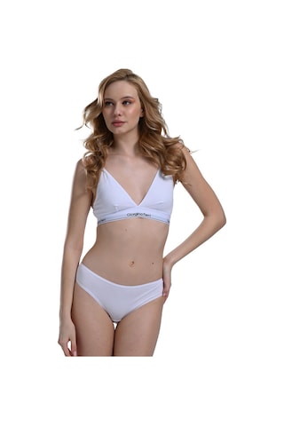 Likralı 6'lı Kutu Premium Slip Külot Laura G-006 A Resimdeki Renk