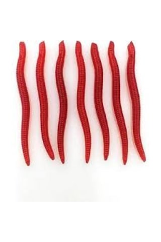 10 X 3.5 Cm Gerçek Görünümlü Kokulu Silikon Yapay Solucan Olta Balık Yemi