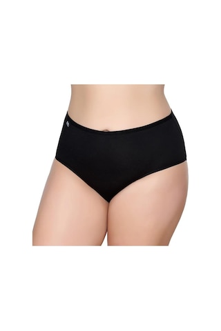 12 Adet Gümüş Bayan Renkli Likralı Bato Külot 3043 001