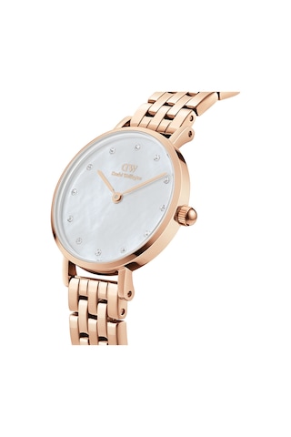 Daniel Wellington Dw00600613 Kadın Kol Saati Diğer