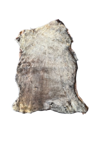 Gerçek Koyun Postu Kısa Tüylü Kahve Sarı 100x70 Cm