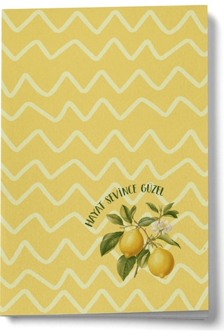 Hayat Sevince Güzel Mini Defter Çok Renkli