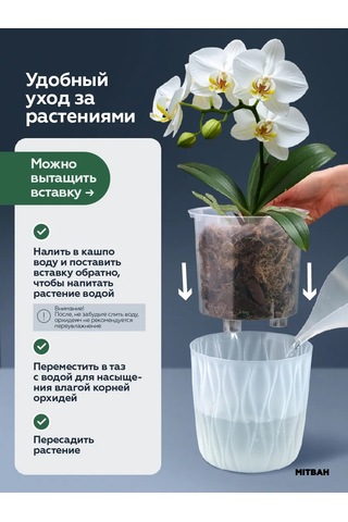 Mıtbah Orkide İçin Saksı, Şeffaf Saksı, 2 Adet, 2,3 L 412453380