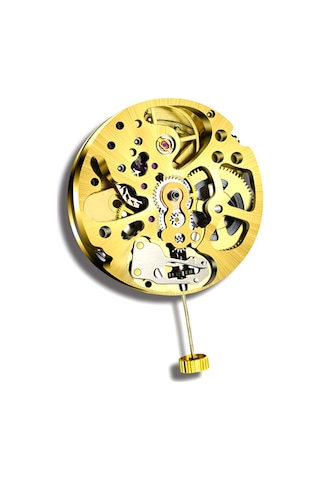 Xurunkeji Altın İskelet 2004 Hareketi Sıradan Sarkaç Ayarı Radyasyon Desenli Tam Otomatik Saat Hareketi Altın