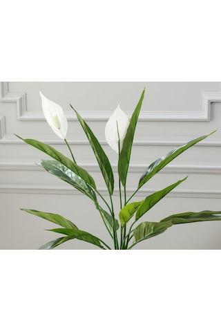Madame Coco Broche Saksılı Bitki 1kcıck1749 58cm-std