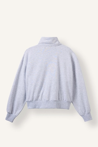 Defacto Relax Fıt Yarım Balıkçı Yaka Baskılı Kalın Sweatshirt Kumaşı Hırka I0987ax26augr93 Gri-gr93
