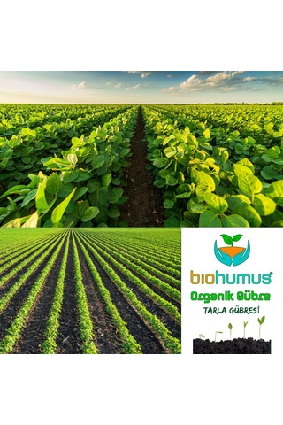 Biohumus Tarla İçin, Organik Gübre, Organik Sertifikalı, Kök Geliştirici, Toprak Düzenleyici, Bitki Besleyici 25 Kg 1 Sku: Smgstk8242544e91