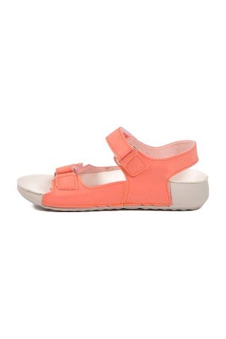 United Colors of Benetton Somon Cırtlı Kız Çocuk Sandalet Bn-1421 P