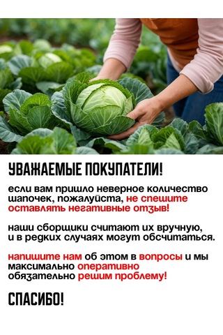 Domsadmarket Lahana Ve Ayçiçeği İçin Şapka 100 Ad 161626382