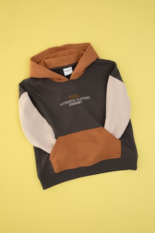 U.s. Polo Assn. Erkek Çocuk Gri Sweatshirt 50316469-vr024 Grı