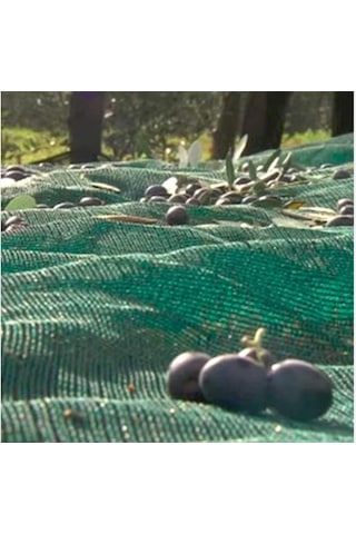 Zeytin Sergenlik - 75lik -yeşil