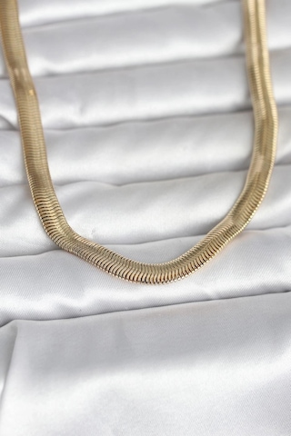 Ceylan Adam Cm 14k Gold Renk Kalın Yassı Yılan Zincir Model 45 Cm Kadın Kolye Çok Renkli