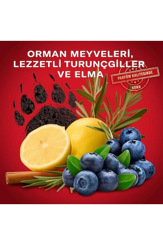 Old Spice Bearglove 3ın1 Erkek Duş Jeli Ve Şampuan 1000 Ml Xxl Fresh