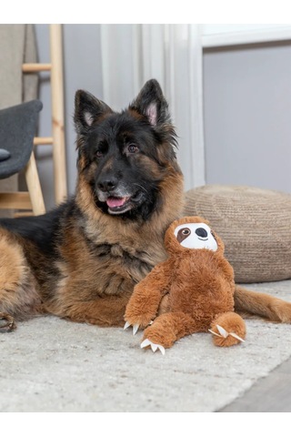 Trixie Köpek Oyuncağı, Tembel, 56cm 245531791