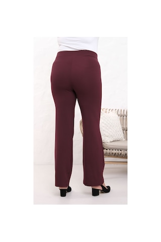 Paw Garage Kadın Nola 36-50 Beden Likralı Toparlayıcı İspanyol Paça Büyük Beden 4 Mevsim Krep Pantolon Bordo