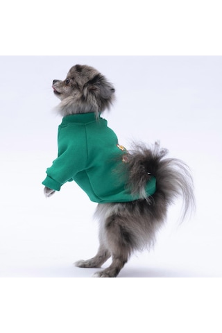 Yeşil Chongqing Kedi Köpek Sweat- Kedi Köpek Kıyafeti