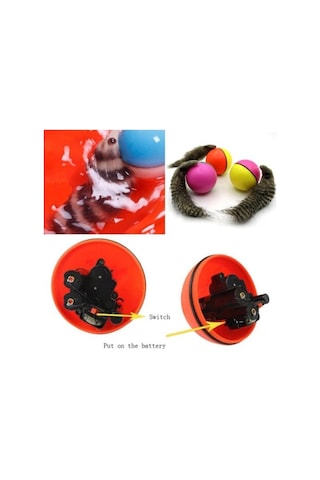 Hareketli Rakun Kedi Köpek Oyuncak Tdrtr Çok Renkli