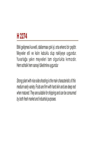 Agrodal Tarım Ata Tohumu Yerli İri Domates 1000 Adet Tohum Sku: Smgstk10511c291c Açık Gri