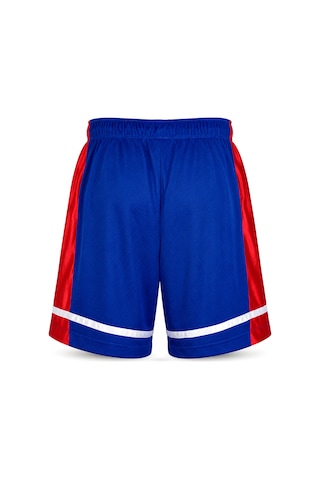 Champion Champıon Erkek Şort 207643-bs008 Çok Renkli
