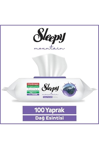 Sleepy Mountain Yüzey Temizlik Havlusu&mendili Dağ Esintisi 100 Yaprak