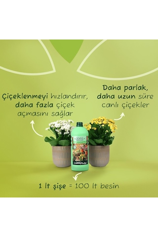 Genta Prestige Çiçekli Bitkiler Ve Sardunyalar İçin Sıvı Bitki Besini Sıvı Gübre1000 Ml Sku: Smg8690010009081 Diğer