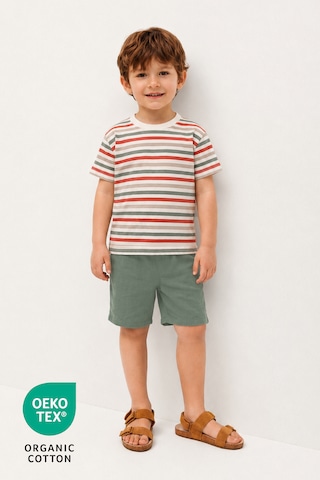 Luppinos Pamuk Çizgi Baskılı Bisiklet Yaka Çift Cepli Bebek-çocuk Tshirt Şort Set Ekru - Yeşil