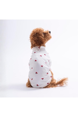 Cherry Bloom Kiraz Desenli Kedi Köpek Sweati - Kedi Köpek Kıyafeti-kedi Köpek Sweati
