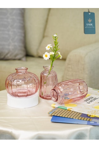 Chacha Home Modern 3'lü Minimalist Cam Çiçek Vazosu Dekoratif Masa Üstü Vazo Seti Açık Pembe