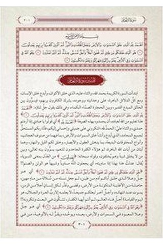 Et-tefsîru'l-vadıhu'l-müyesser / Muhammed Ali Es-sabuni