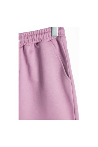 Terapi Men Erkek Lila Basic Regular Fit Şort & Bermuda Lila